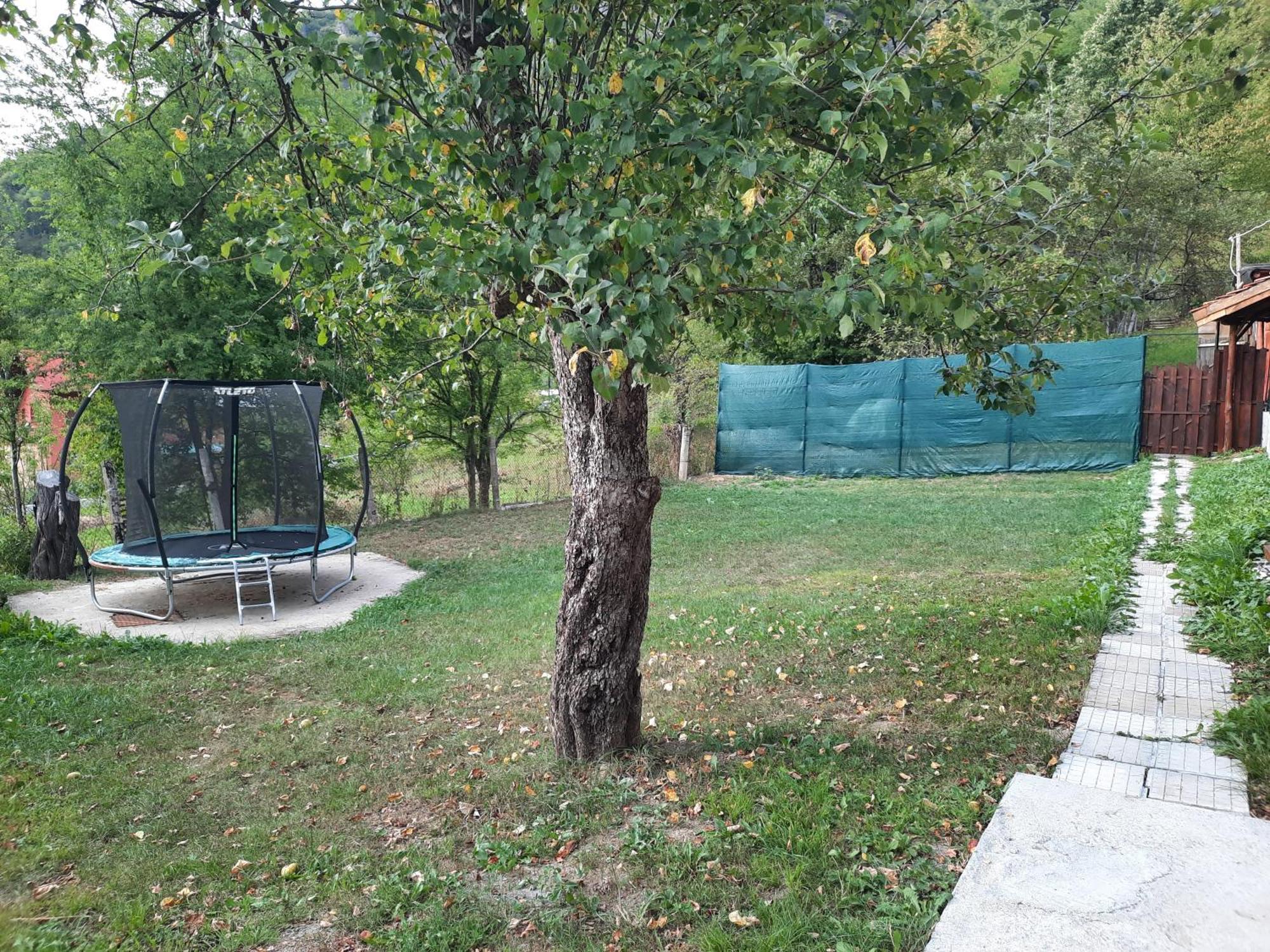 Guest House Lazar Raykov Ribarica Exterior foto